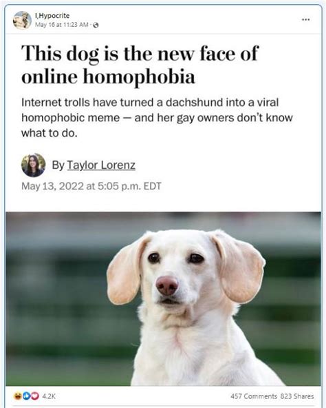 homophobic dog meme|This dog is the new face of online homophobia.